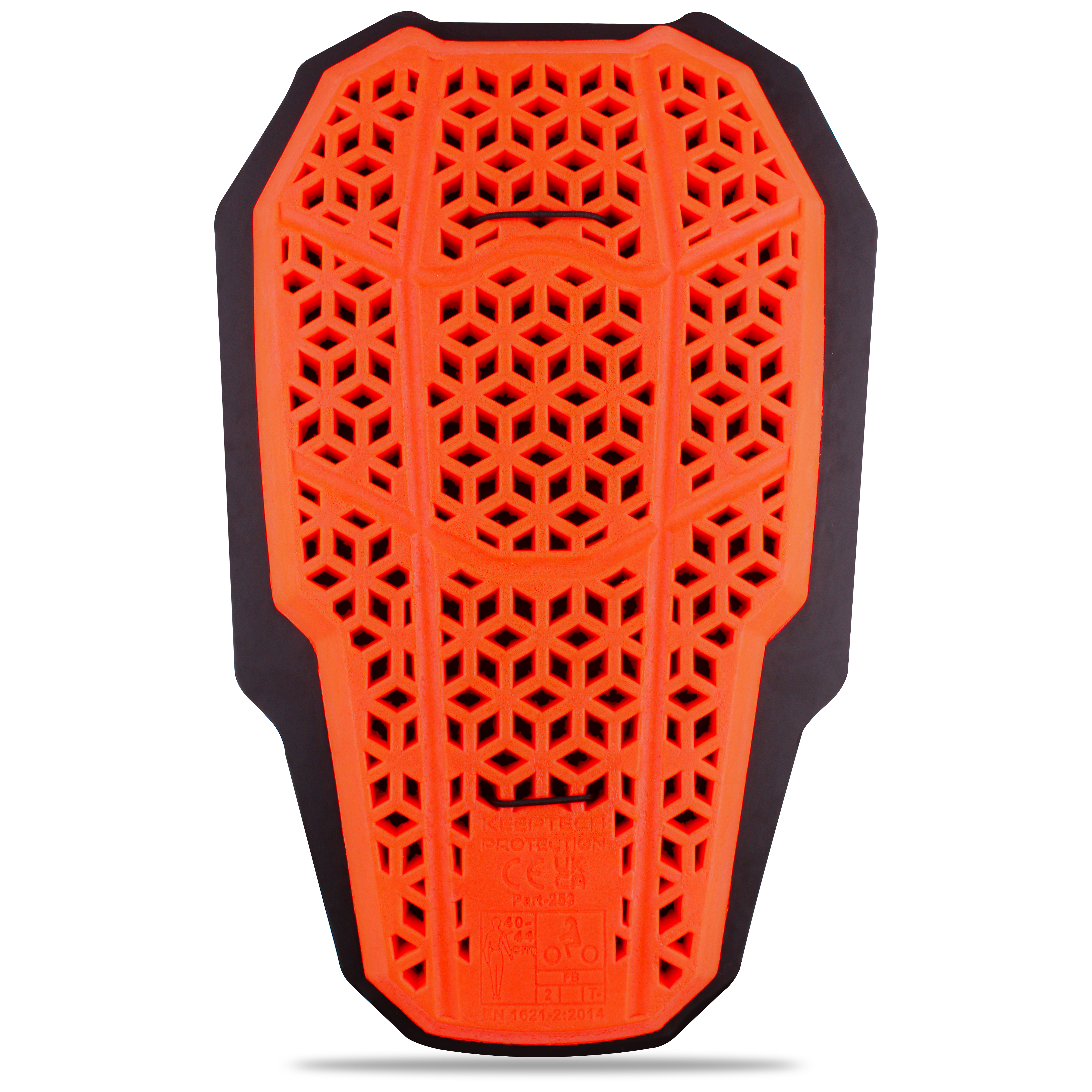 TRAXMOTO: Protetor de Costas