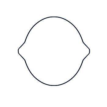 GASKET 2 - FANTIC